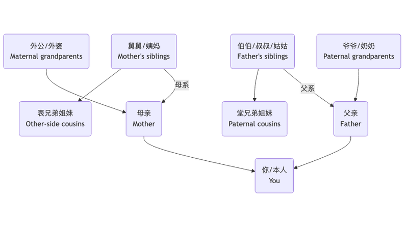 A clear diagram of Chinese family titles across father- and mother-side relatives
